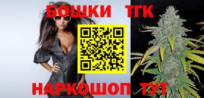 стаф Лесосибирск