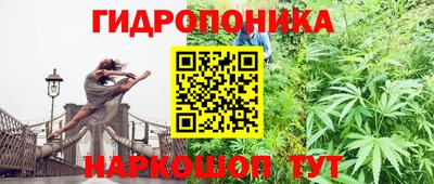 стаф Лесосибирск