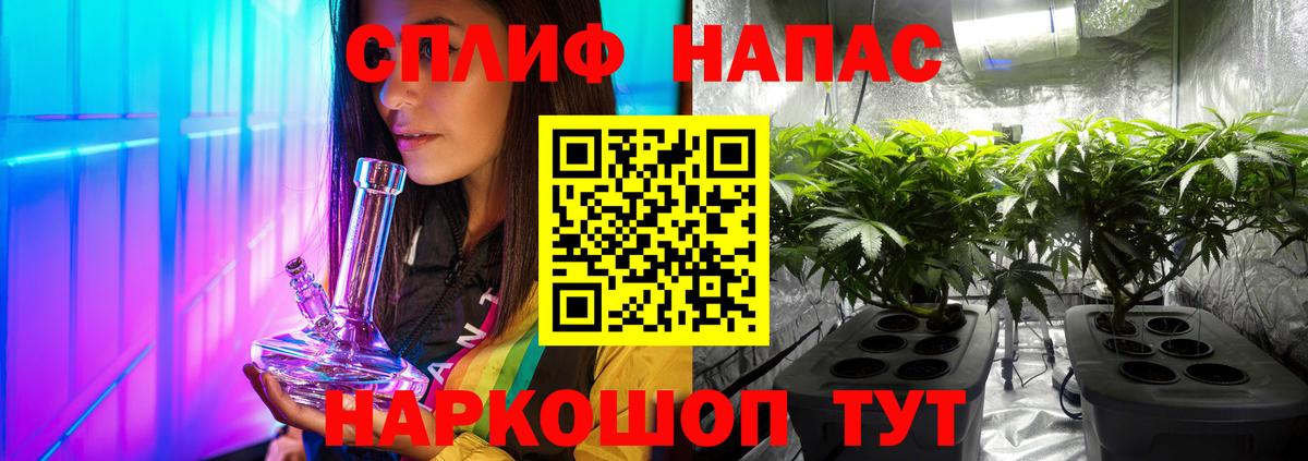 Бошки марихуана планчик  Марихуана MAZAR  Вязники  Конопля OG Kush  Вход с VPN  МАРИХУАНА Amnesia 